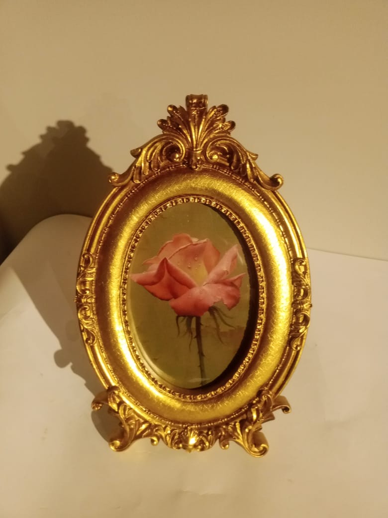 WhatsApp Image 2026-02-18 at 12.49.54 PM (2)