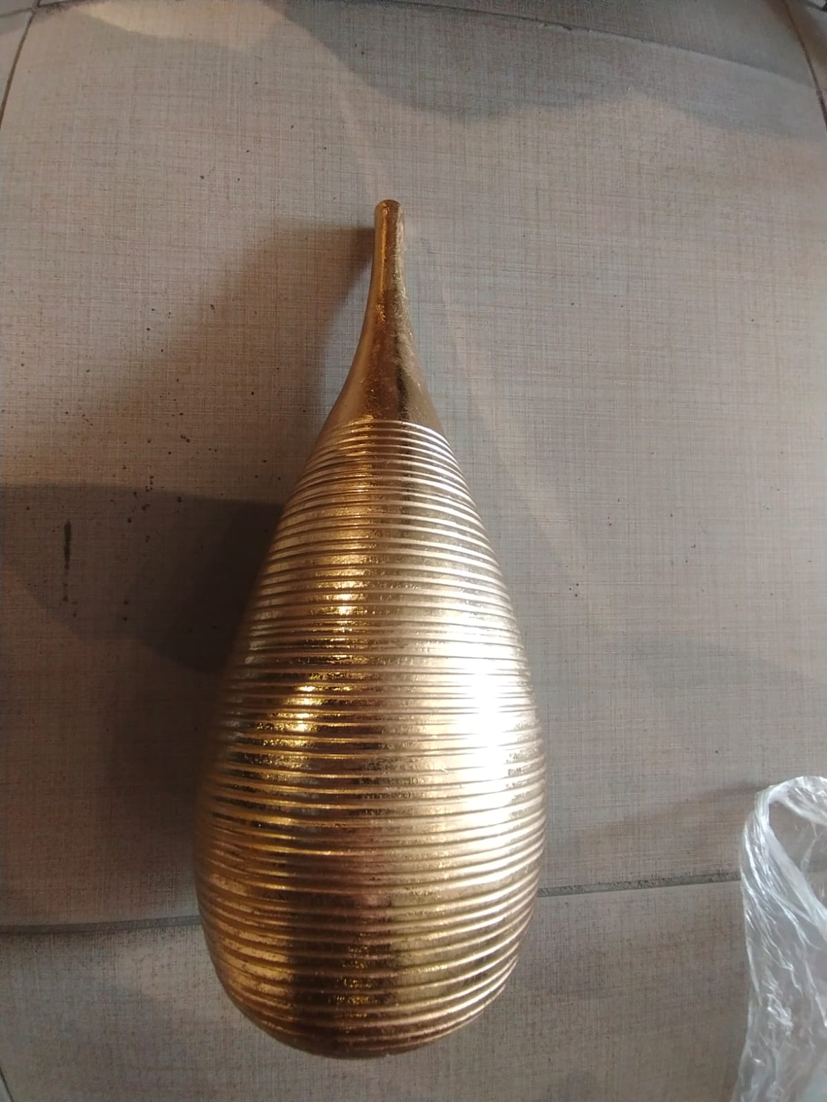 WhatsApp Image 2026-02-18 at 12.50.32 PM