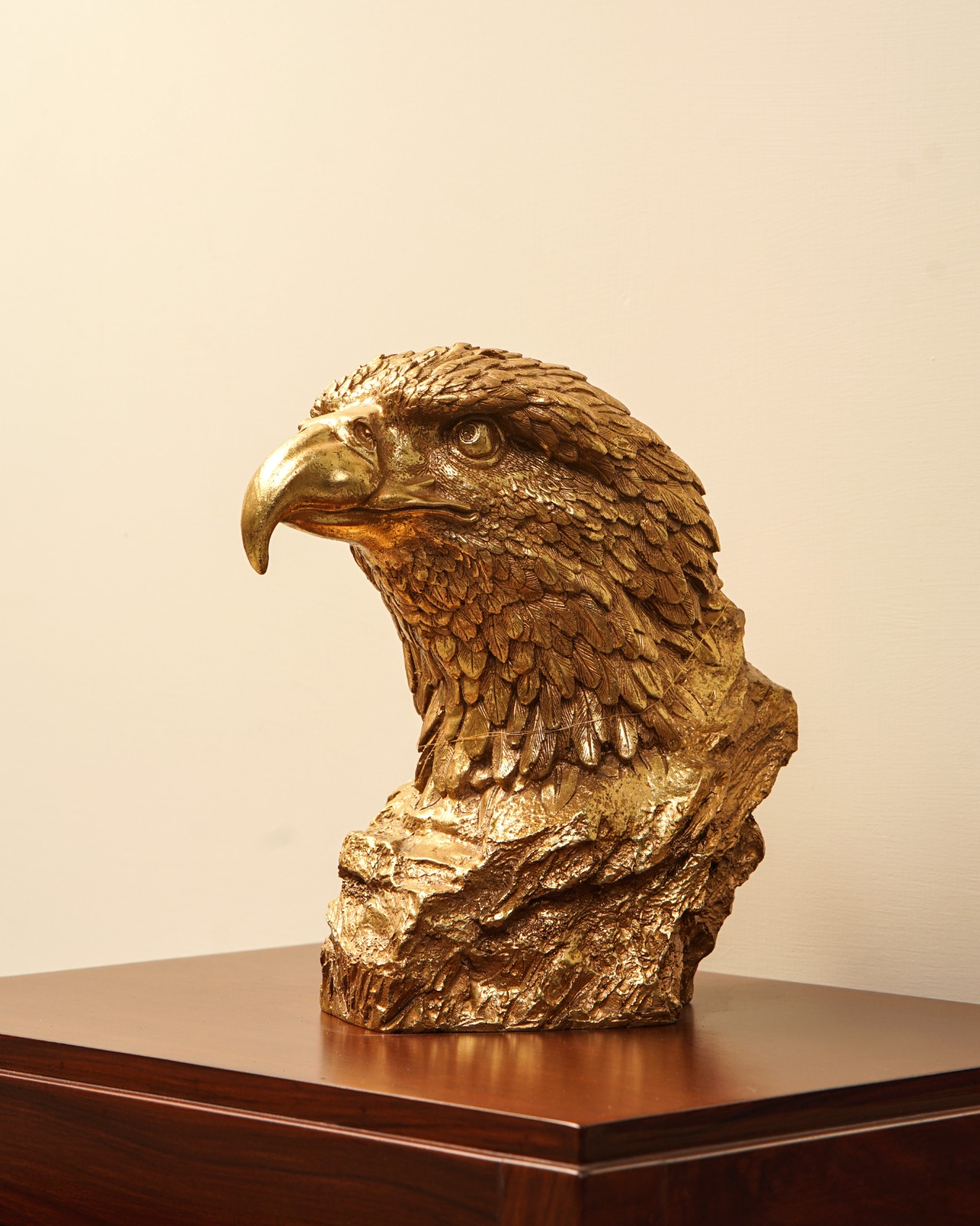 WhatsApp Image 2026-02-18 at 12.53.49 PM (1)